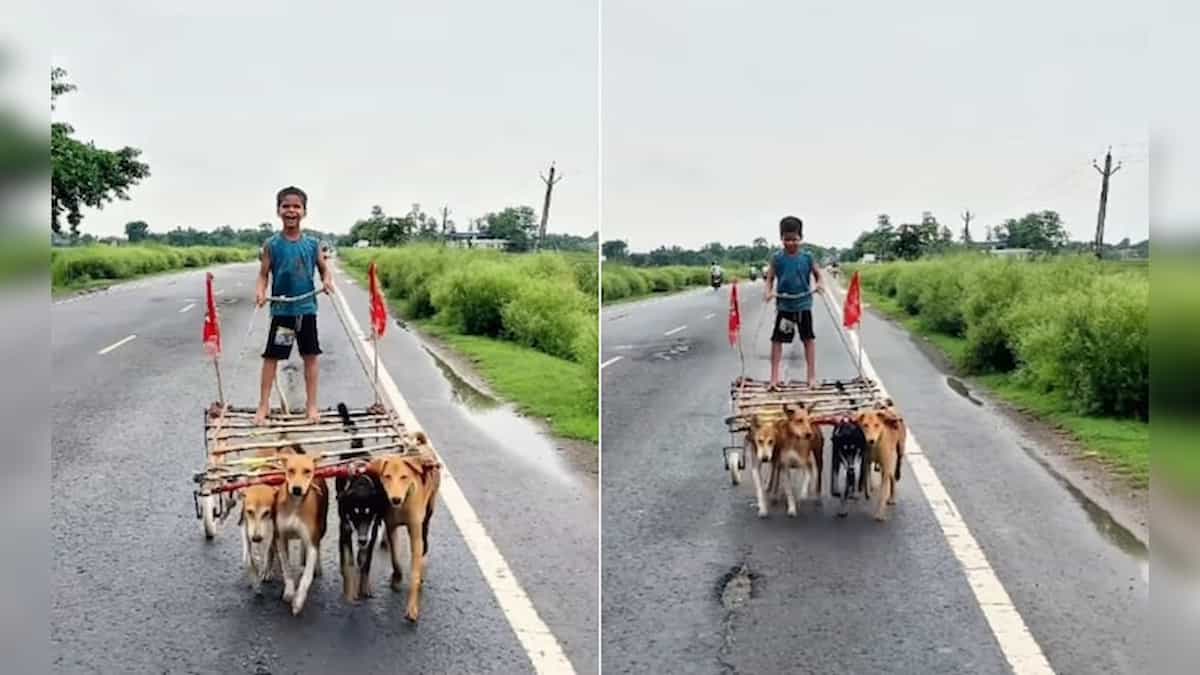 बच्चे के 'देसी जुगाड़' ने जीता इंटरनेट का दिल, कुत्ता गाड़ी देख लोग बोले- 'यह तो बचपन का सपना था'